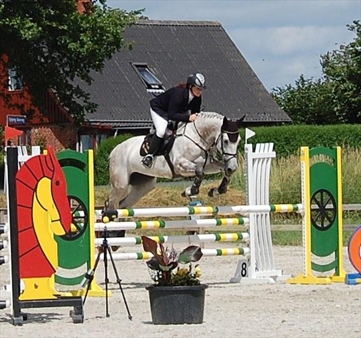 Billeder fra Riders Cup til andre billede 25