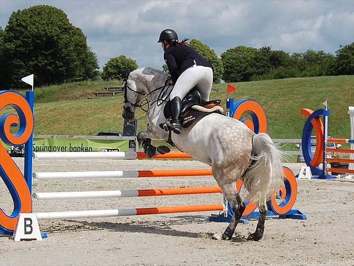 Billeder fra Riders Cup til andre billede 26