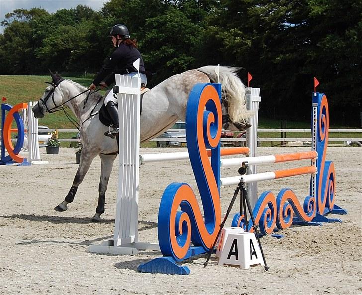 Billeder fra Riders Cup til andre billede 27