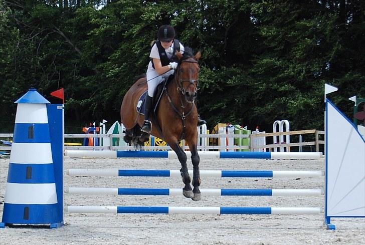 Billeder fra Riders Cup til andre billede 30