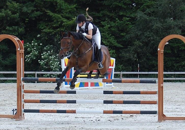 Billeder fra Riders Cup til andre billede 31