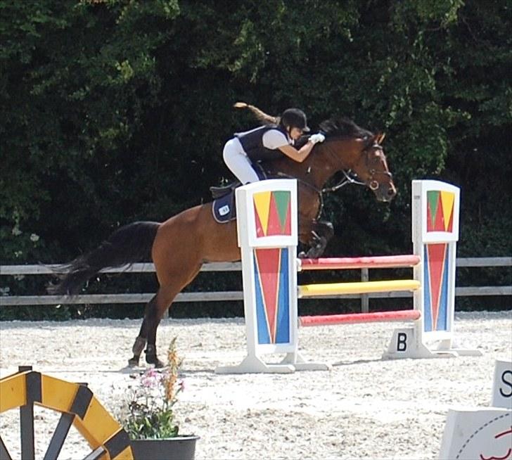 Billeder fra Riders Cup til andre billede 32