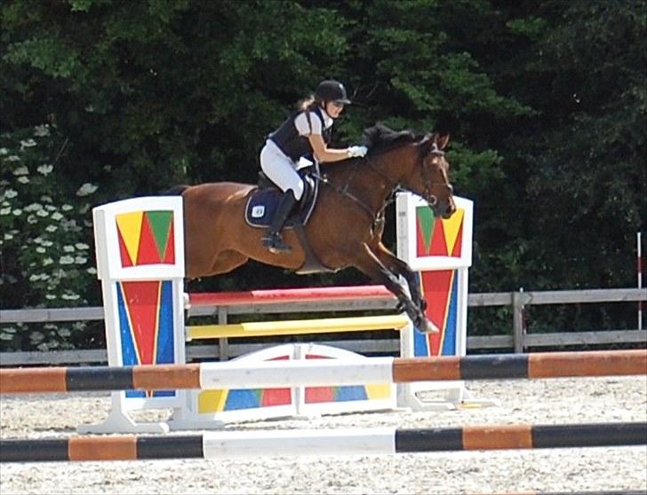 Billeder fra Riders Cup til andre billede 33