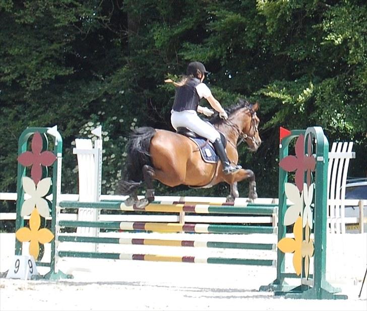 Billeder fra Riders Cup til andre billede 34