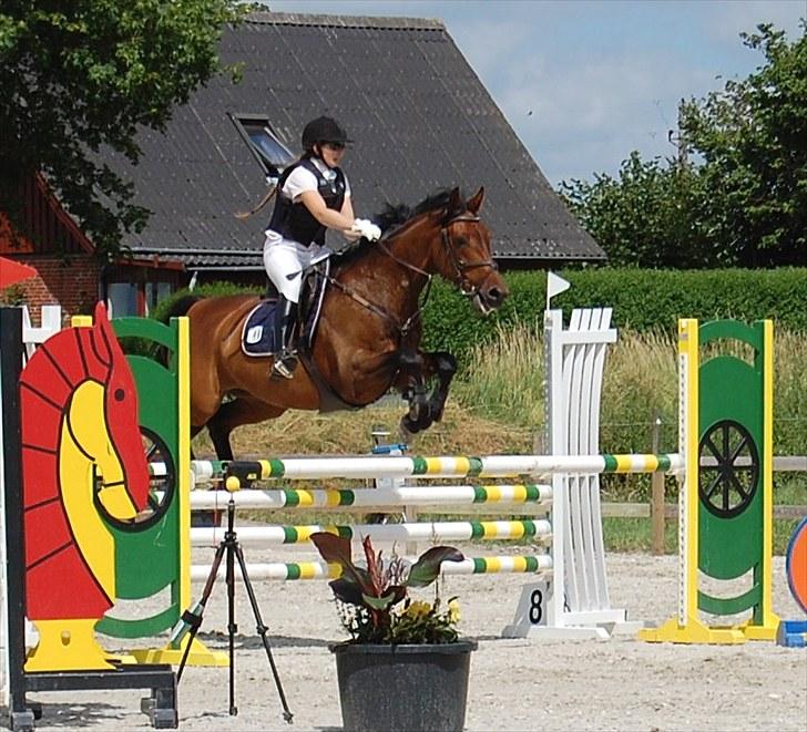 Billeder fra Riders Cup til andre billede 35