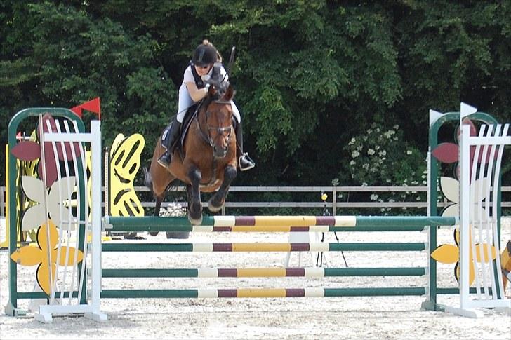 Billeder fra Riders Cup til andre billede 37