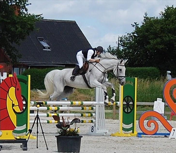 Billeder fra Riders Cup til andre billede 38