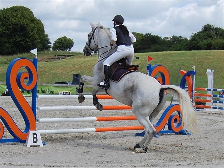 Billeder fra Riders Cup til andre billede 40