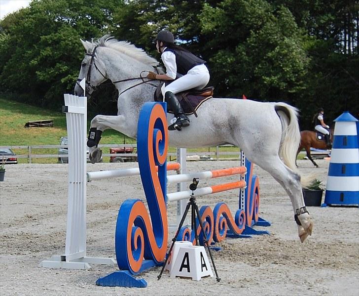 Billeder fra Riders Cup til andre billede 41