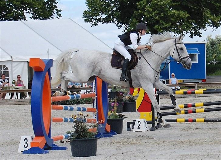 Billeder fra Riders Cup til andre billede 42