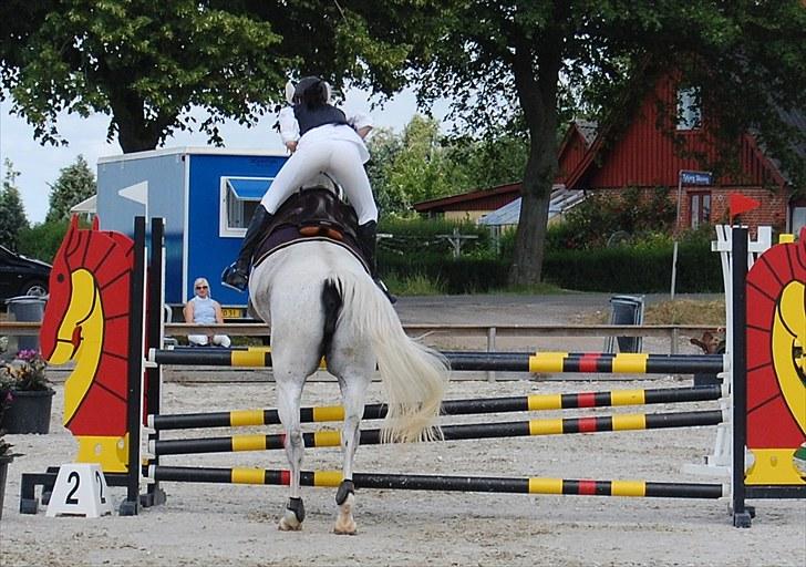 Billeder fra Riders Cup til andre billede 44