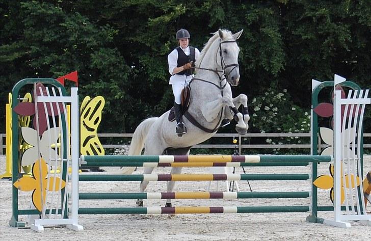 Billeder fra Riders Cup til andre billede 46