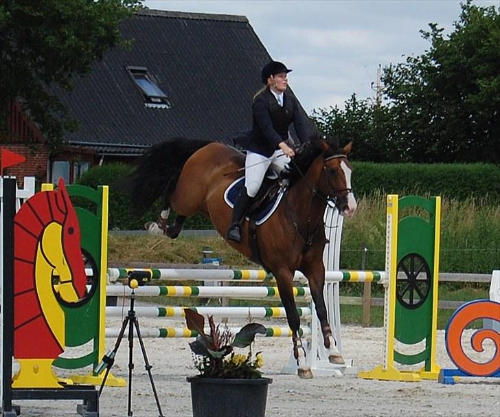 Billeder fra Riders Cup til andre billede 47