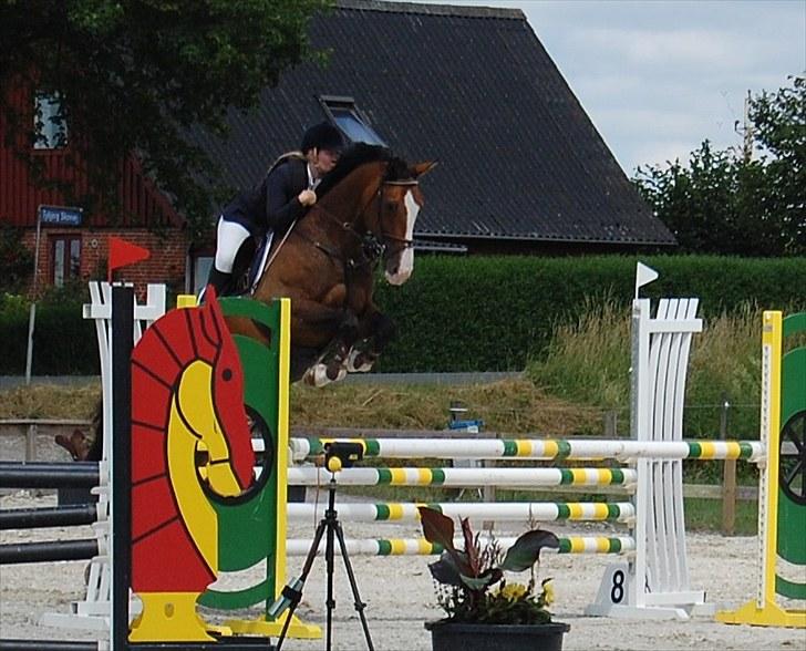 Billeder fra Riders Cup til andre billede 48