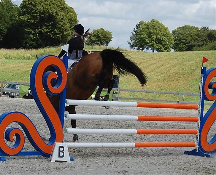 Billeder fra Riders Cup til andre billede 49