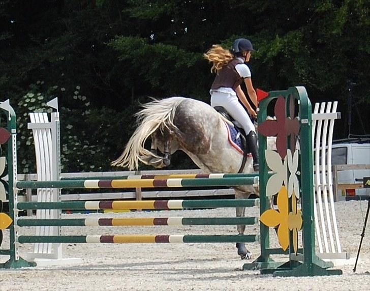 Billeder fra Riders Cup til andre billede 54