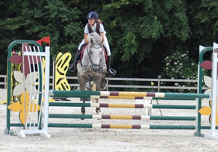 Billeder fra Riders Cup til andre billede 61