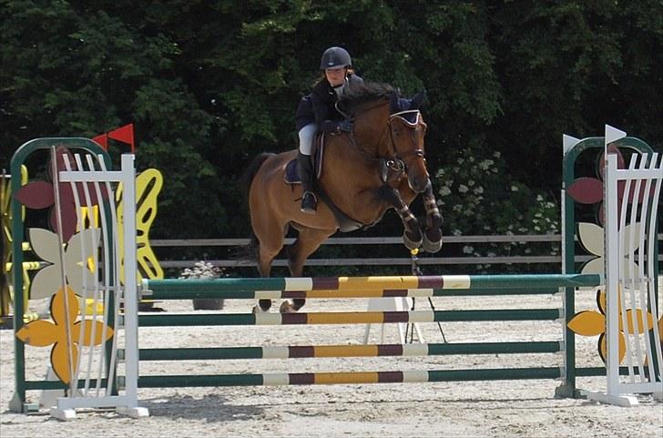 Billeder fra Riders Cup til andre billede 64