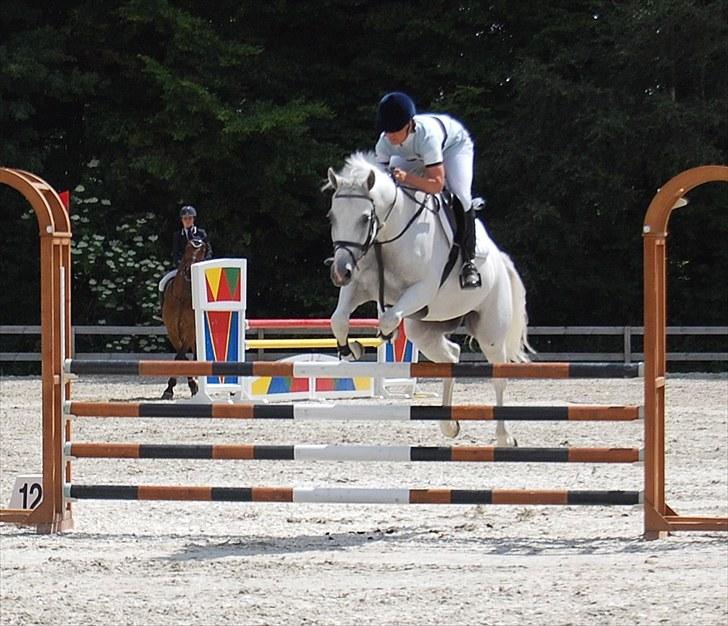 Billeder fra Riders Cup til andre billede 66