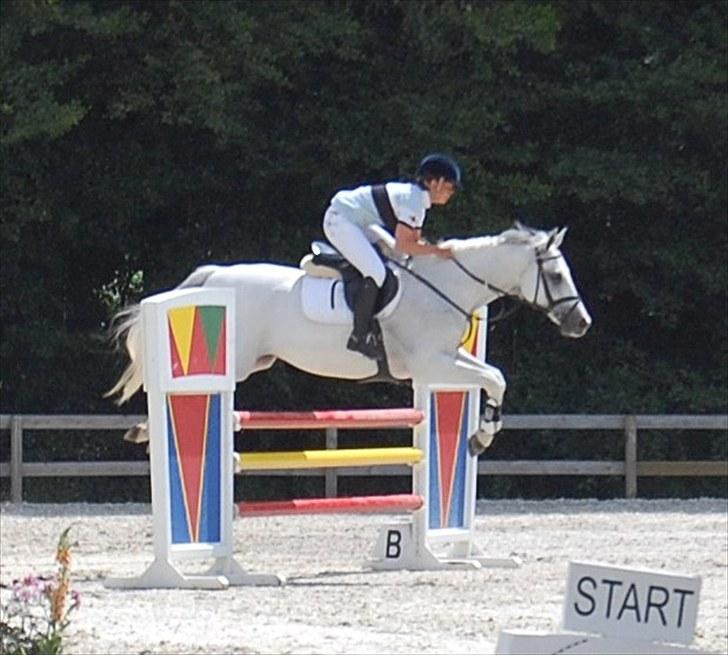 Billeder fra Riders Cup til andre billede 67