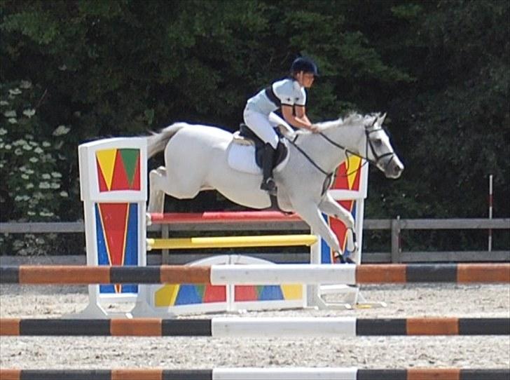 Billeder fra Riders Cup til andre billede 68