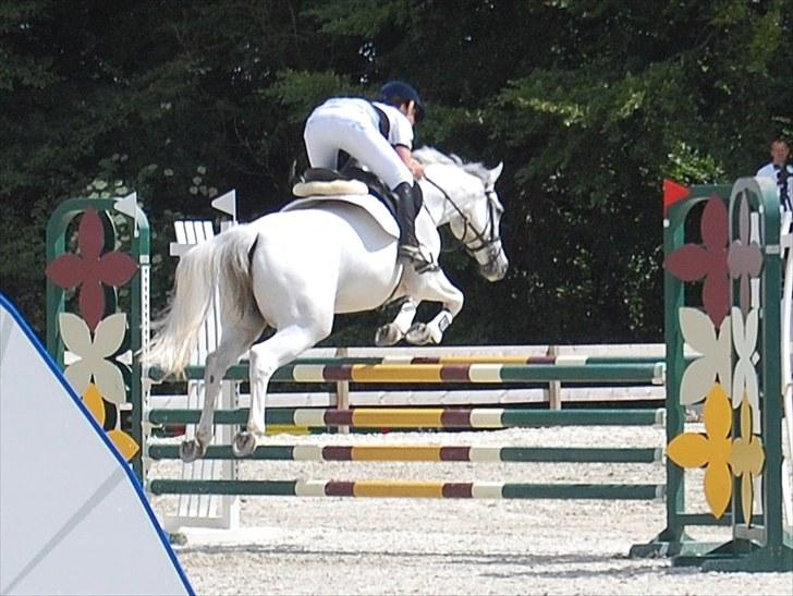 Billeder fra Riders Cup til andre billede 69