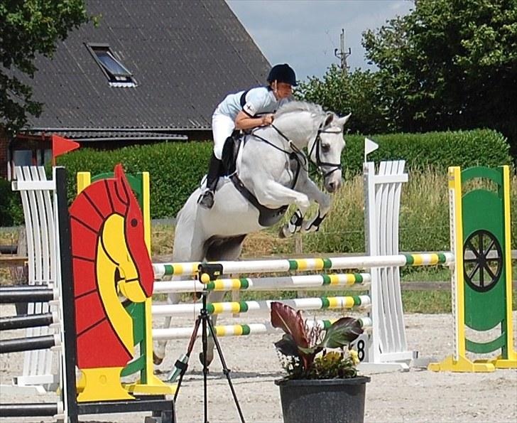 Billeder fra Riders Cup til andre billede 70