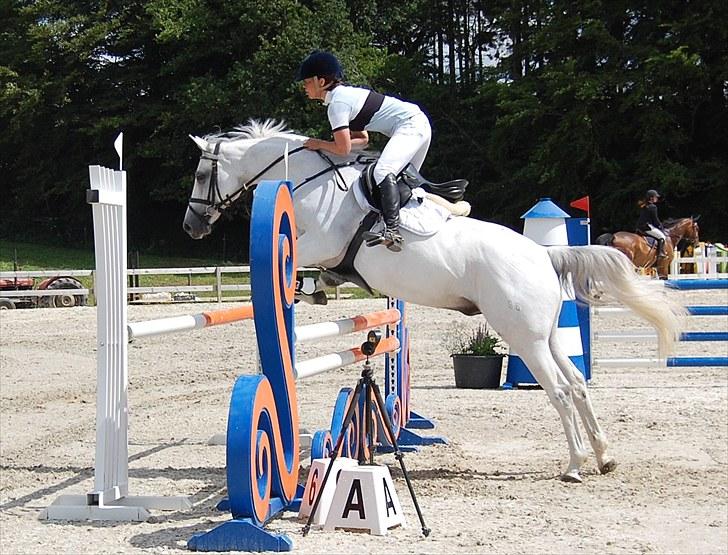 Billeder fra Riders Cup til andre billede 73