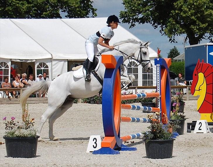 Billeder fra Riders Cup til andre billede 76