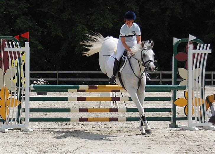 Billeder fra Riders Cup til andre billede 77