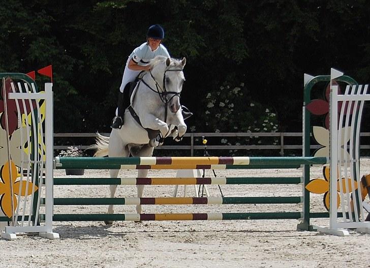 Billeder fra Riders Cup til andre billede 78