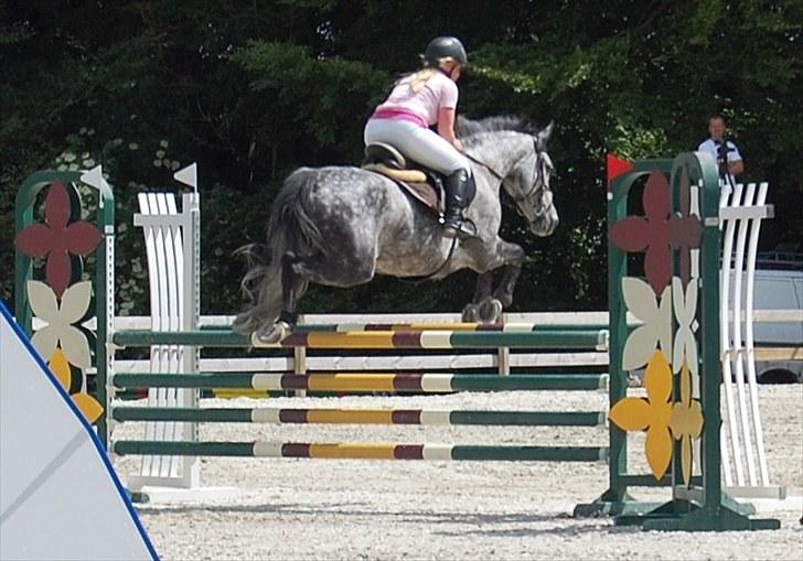 Billeder fra Riders Cup til andre billede 79