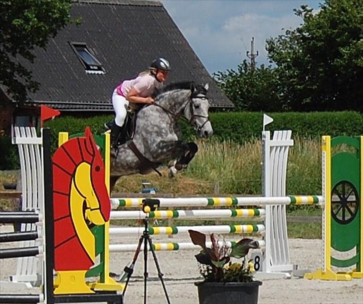 Billeder fra Riders Cup til andre billede 80