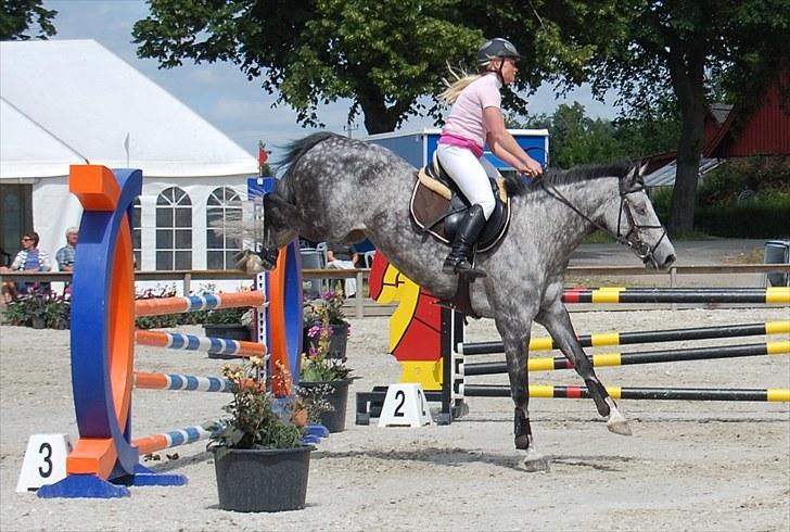 Billeder fra Riders Cup til andre billede 83