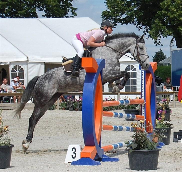 Billeder fra Riders Cup til andre billede 84