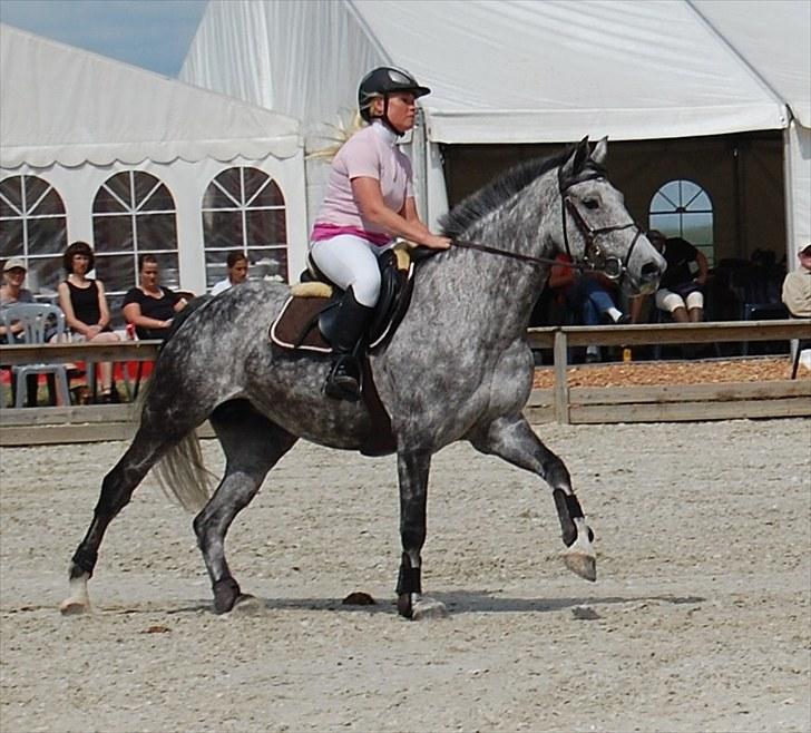 Billeder fra Riders Cup til andre billede 85