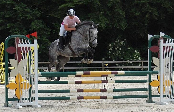 Billeder fra Riders Cup til andre billede 86