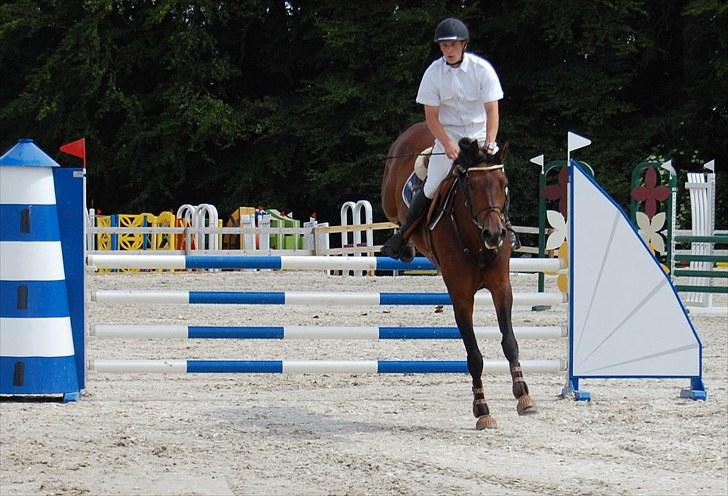 Billeder fra Riders Cup til andre billede 87