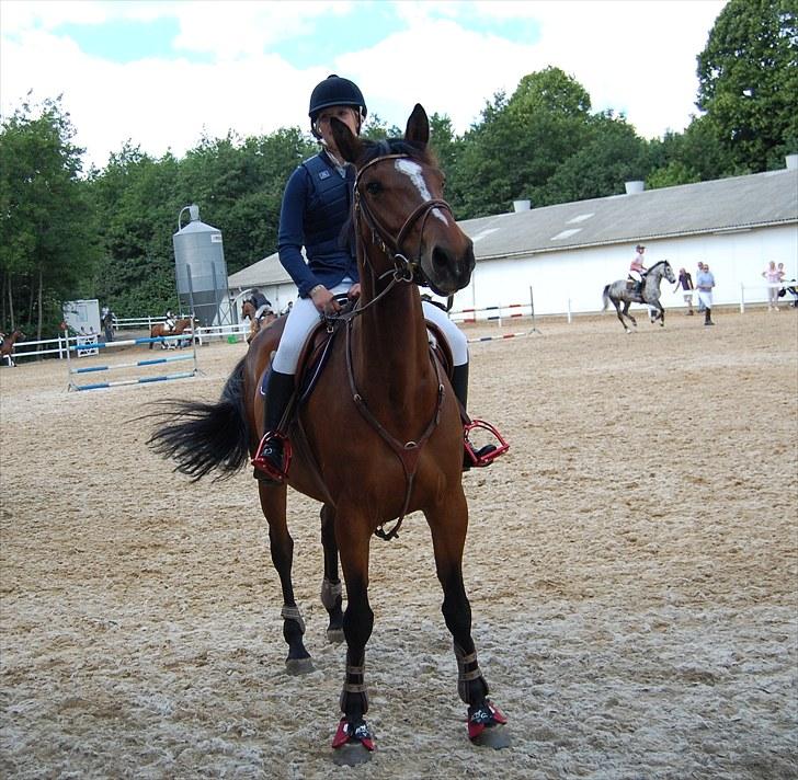 Billeder fra Riders Cup til andre billede 89