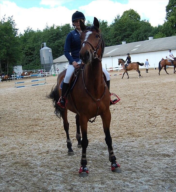 Billeder fra Riders Cup til andre billede 90