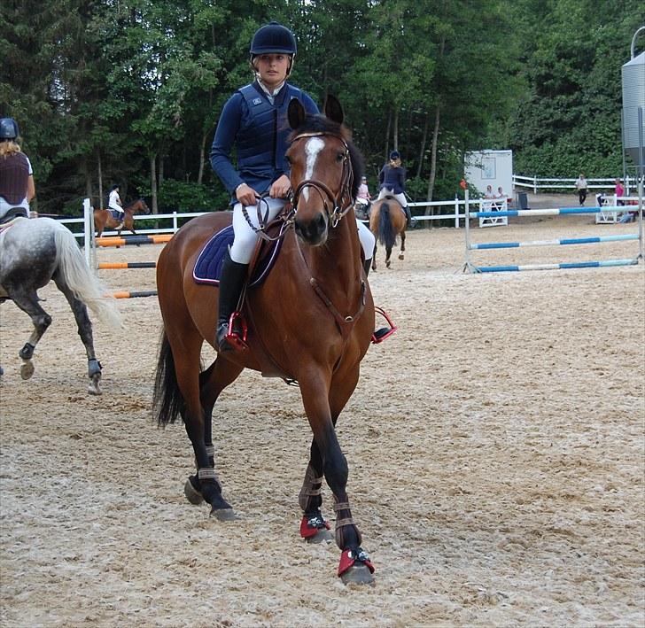 Billeder fra Riders Cup til andre billede 91