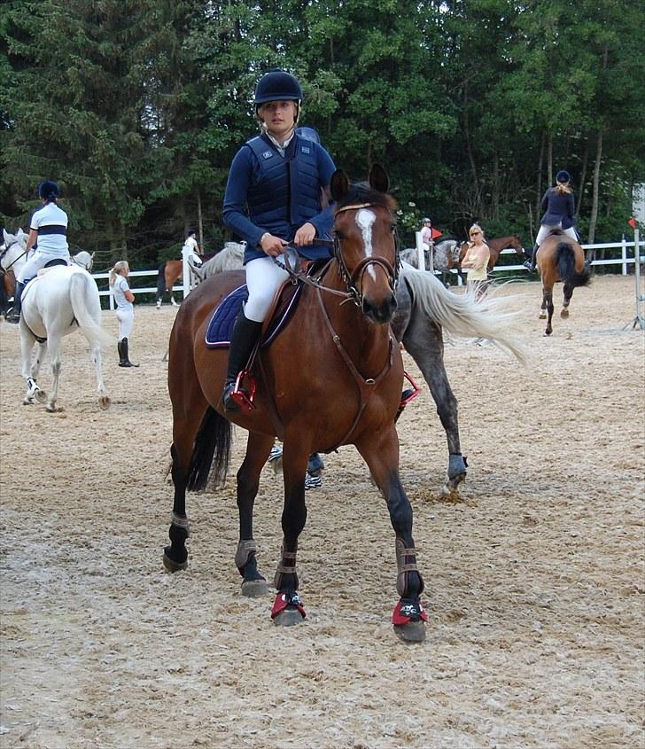 Billeder fra Riders Cup til andre billede 92