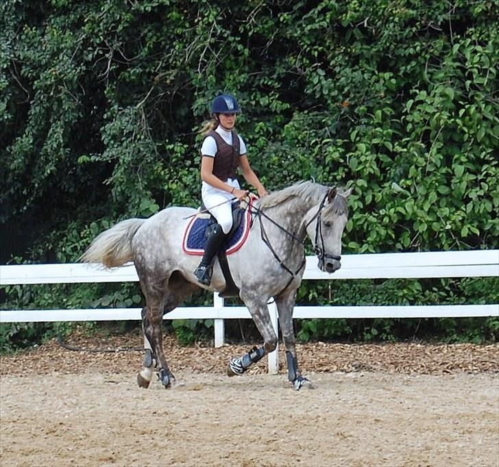 Billeder fra Riders Cup til andre billede 93