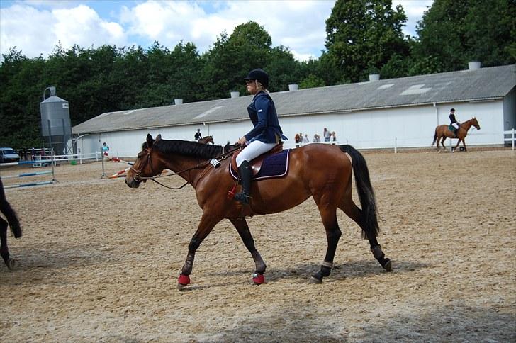 Billeder fra Riders Cup til andre billede 94