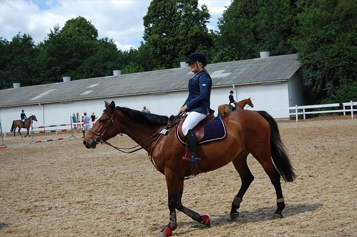 Billeder fra Riders Cup til andre billede 95