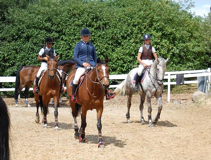 Billeder fra Riders Cup til andre billede 97