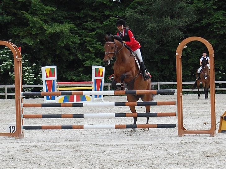 Billeder fra Riders Cup til andre billede 100