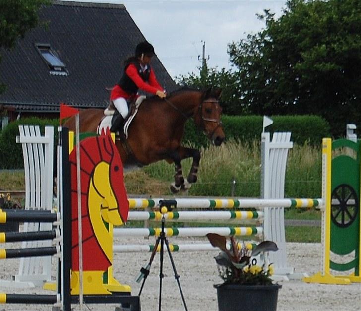 Billeder fra Riders Cup til andre billede 102