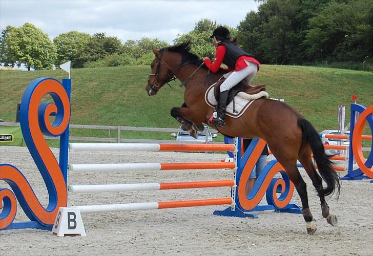 Billeder fra Riders Cup til andre billede 104