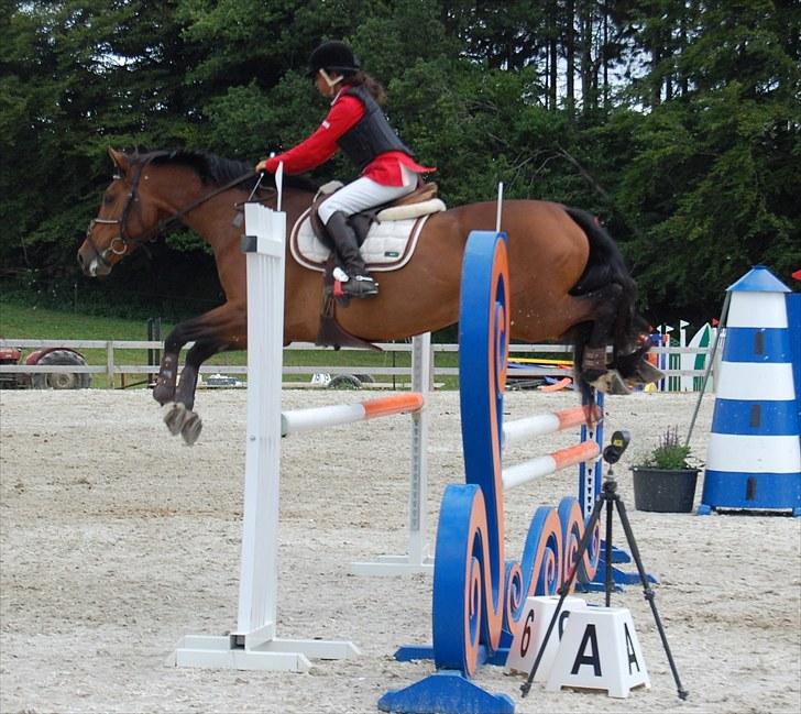 Billeder fra Riders Cup til andre billede 105